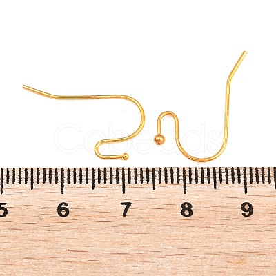 Brass Earring Hooks J0JQN-G-NF-1