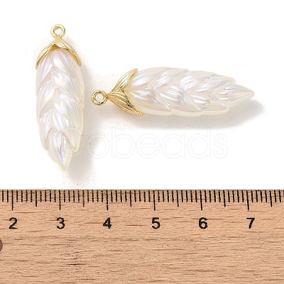 Rainbow Iridescent Plating Resin Pendants LS-RESI-C047-03B-G-1
