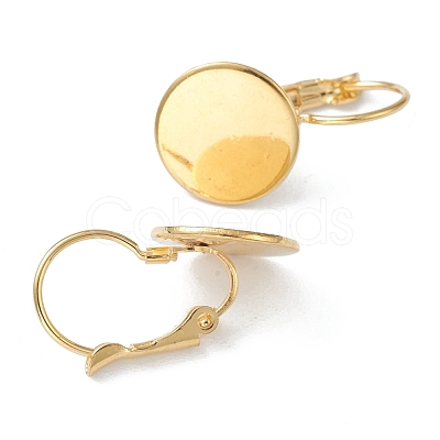 304 Stainless Steel Leverback Earring Findings X-KK-H152-08B-G-1