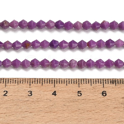 Natural Lepidolite/Purple Mica Stone Beads Strands GG-CBAA9B4-A15-01-1