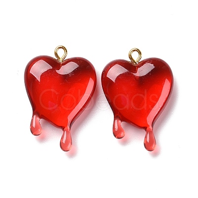 Transparent Resin Pendants LS-RESI-F028-01-1