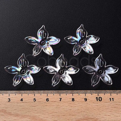 Transparent Acrylic Beads LS-MACR-S373-102-C02-1