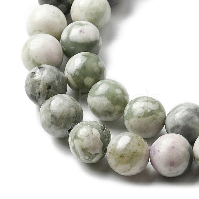 Natural Peace Jade Beads Strands X-G-E598-04B-1