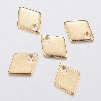 304 Stainless Steel Charms X-STAS-H436-53-1