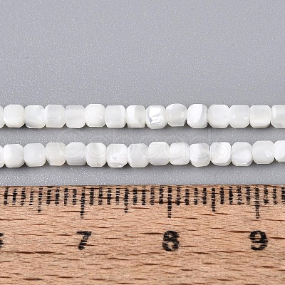 Natural Trochid Shell/Trochus Shell Beads Strands BSHE-T014-52A-01-1