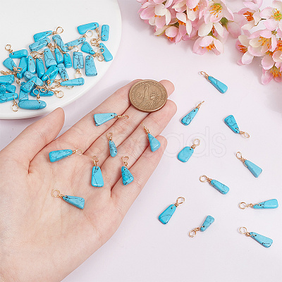 50Pcs Dyed Natural Howlite Pendants PALLOY-AB00142-1