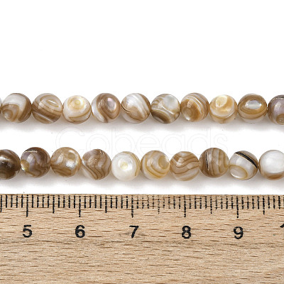 Natural Freshwater Shell Beads Strands SHEL-K006-71A-1