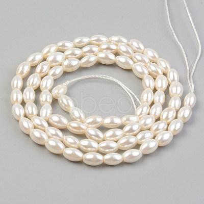 Electroplate Natural Freshwater Shell Beads Strands SHEL-T017-13A-01-1