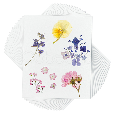 Dried Embossed Paper DIY-WH0622-646B-1