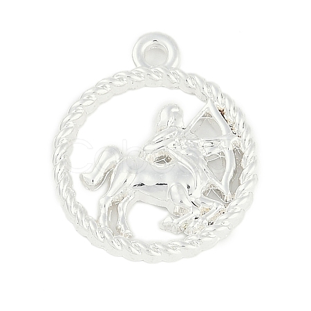 Twelve Constellations Alloy Pendants PALLOY-Q006-01D-S-1