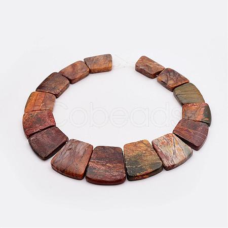 Natural Picasso Stone/Picasso Jasper Graduated Bead Strands G-P296-H01-1