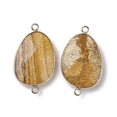 Natural Picture Jasper Connector Charms G-C110-02E-KCG-1
