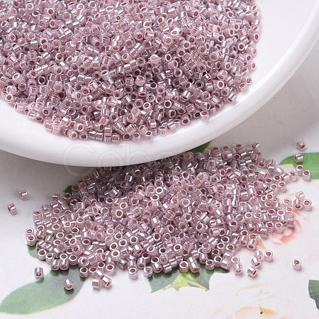 MIYUKI Delica Beads X-SEED-J020-DB0256-1