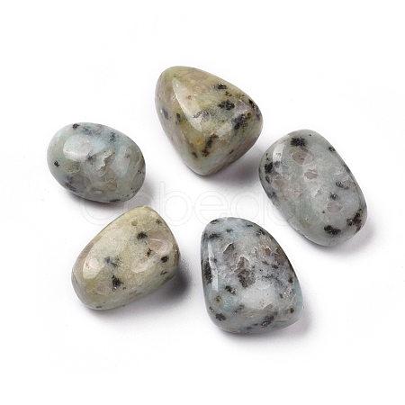 Natural Sesame Jasper/Kiwi Jasper Beads G-K302-A01-1