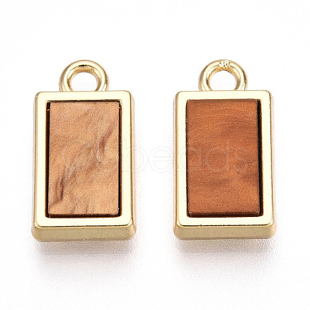 Alloy Charms PALLOY-N177-08G-1