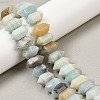 Natural Flower Amazonite Double Terminated Point Beads Strands G-T142-93-1