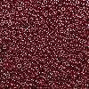MIYUKI Round Rocailles Beads X-SEED-G009-RR0425-3