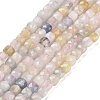 Natural Morganite Beads Strands G-H042-A05-02-1