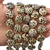 Natural Dalmatian Jasper Beads Strands G-A292-A06-01-2