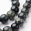 Round Natural Kambaba Jasper Bead Strands G-J346-29-8mm-1