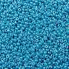 MIYUKI Round Rocailles Beads X-SEED-G008-RR0433-3