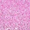 6/0 Baking Paint Transparent Fringe Glass Seed Beads SEED-N006-06G-3