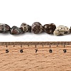 Natural Leopard Skin Jasper Beads Strands GG-CBAC13F-A01-01-5