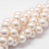 Shell Pearl Bead Strands BSHE-L026-03-16mm-1
