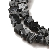 Natural Snowflake Obsidian Beads Strands G-G085-B37-01-3