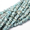 Natural Larimar Chip Beads Strands L-G-E271-77-1