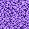 6/0 Glass Seed Beads SEED-T005-14-B04-3