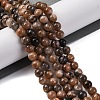 Natural Black Moonstone Beads Strands G-A219-A01-02-1