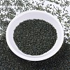 MIYUKI Delica Beads SEED-JP0008-DB0273-2