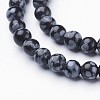 Natural Snowflake Obsidian Beads Strands GSR4mmC009-2