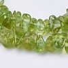 Natural Peridot Beads Strands X-G-J119-04-3