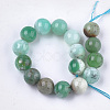 Natural Chrysoprase Beads Strands G-S333-12mm-037-2