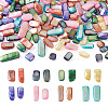 160Pcs 8 Colors Natural Freshwater Shell Beads Strands SHEL-CD0001-06-1