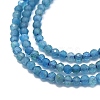 Natural Apatite Beads Strands G-G106-C06-04-3