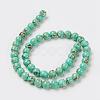 Sea Shell and Synthetic Turquoise Assembled Beads Strands G-G758-07-12mm-2