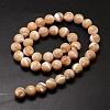 Natural Sea Shell Beads Strands SSHEL-K013-10mm-B-2