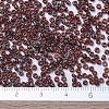 MIYUKI Round Rocailles Beads X-SEED-G007-RR4503-4