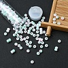 6/0 Opaque Glass Seed Beads SEED-YW0002-13P-6