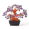 Natural Amethyst Chips Money Tree Bonsai Display Decorations DJEW-B007-08D-1