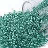 TOHO Round Seed Beads SEED-XTR11-0954F-1
