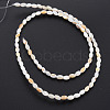 Natural Freshwater Shell Beads Strands SHEL-N027-08B-3