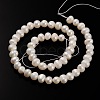 Natural Cultured Freshwater Pearl Beads Strands PEAR-E002-28-01-2