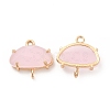 K9 Glass Connector Charms KK-E071-24KCG-02-1