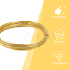 DIY Wire Wrapped Jewelry Kits DIY-BC0011-81A-04-6