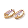 Moonlight Effect Horse Eye Sew on Rhinestone GLAA-P055-04A-G04-3