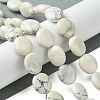 Natural Howlite Beads Strands G-K365-B14-02-2